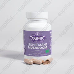 Lion's Mane Mushroom